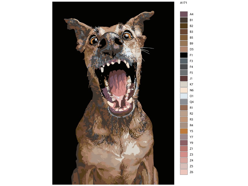 сиба ину злой. кричащая собака. Elke vogelsang собаки. кричащие собаки. сиба ину зевает.