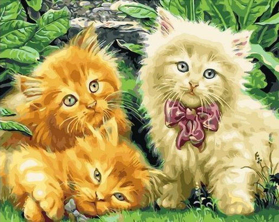 Картина по номерам рыжий кот