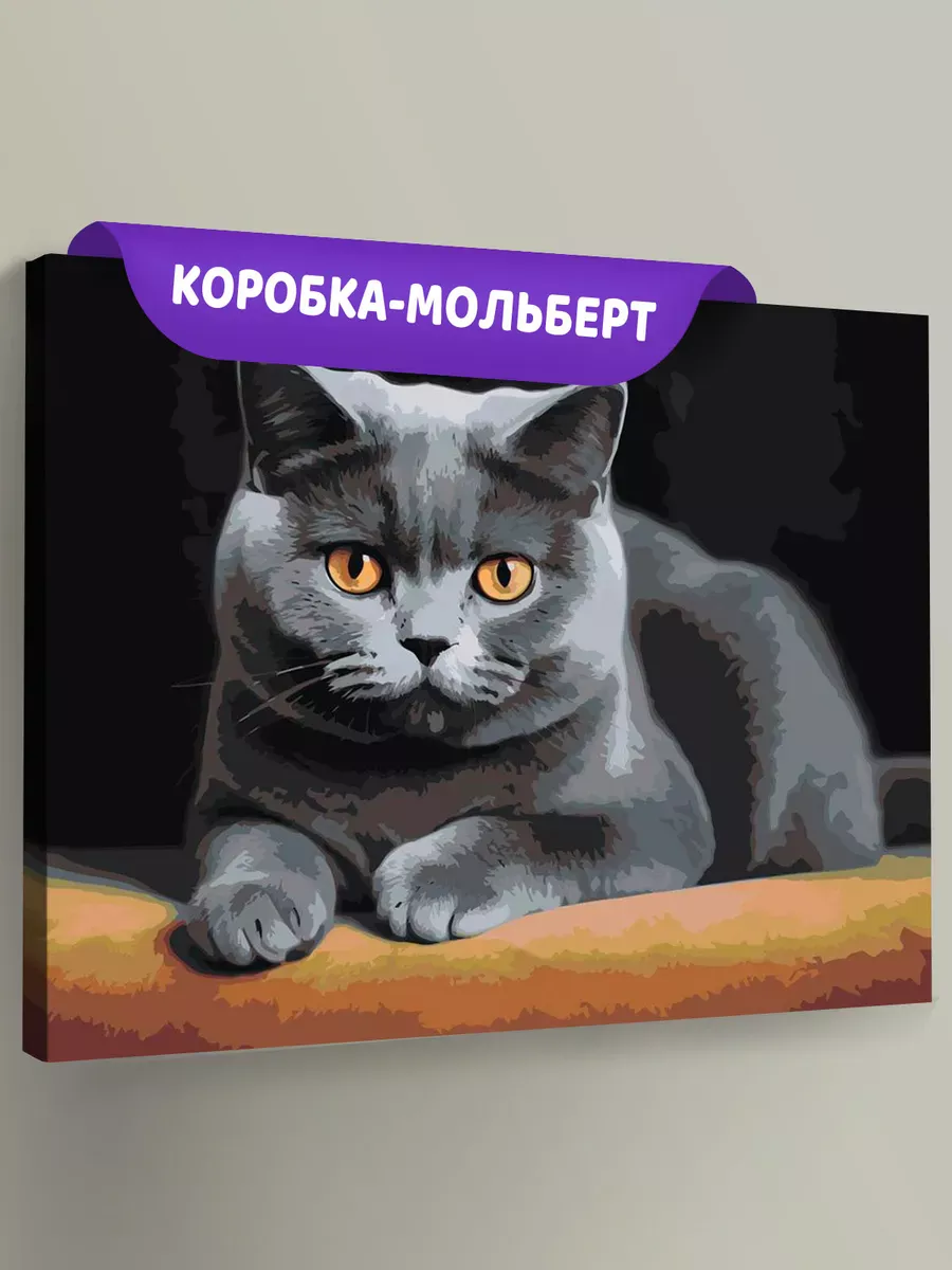 Картина по номерам «Серьезный британский кот» Картина по номерам «Серьезный британский кот»