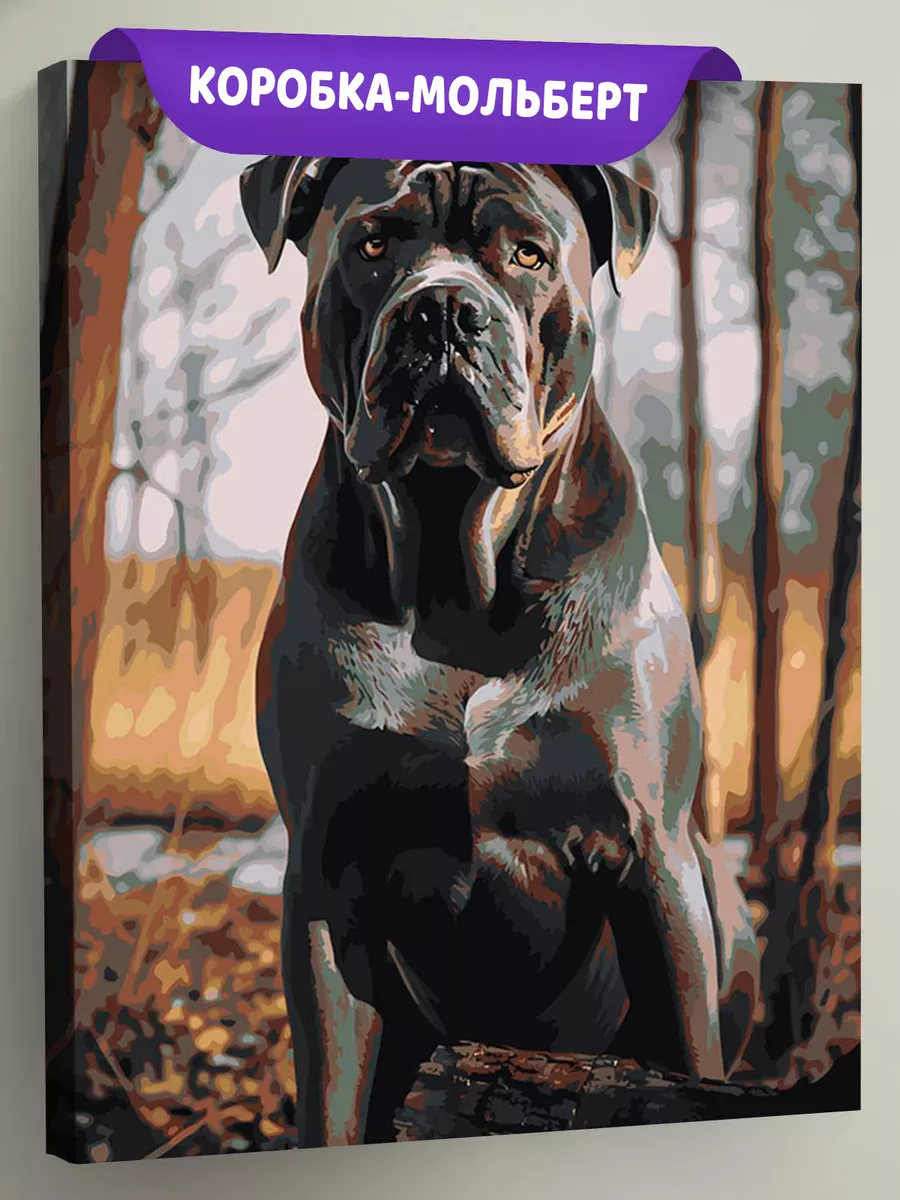 Картина по номерам «Собака Кане корсо в осеннем лесу»