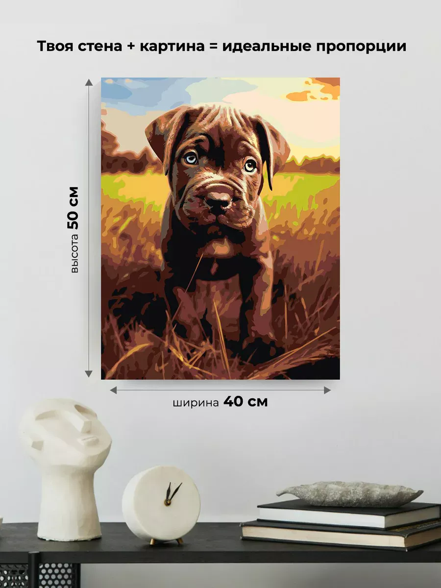 Картина по номерам «Собака Кане корсо щенок на лугу» — картинка 3