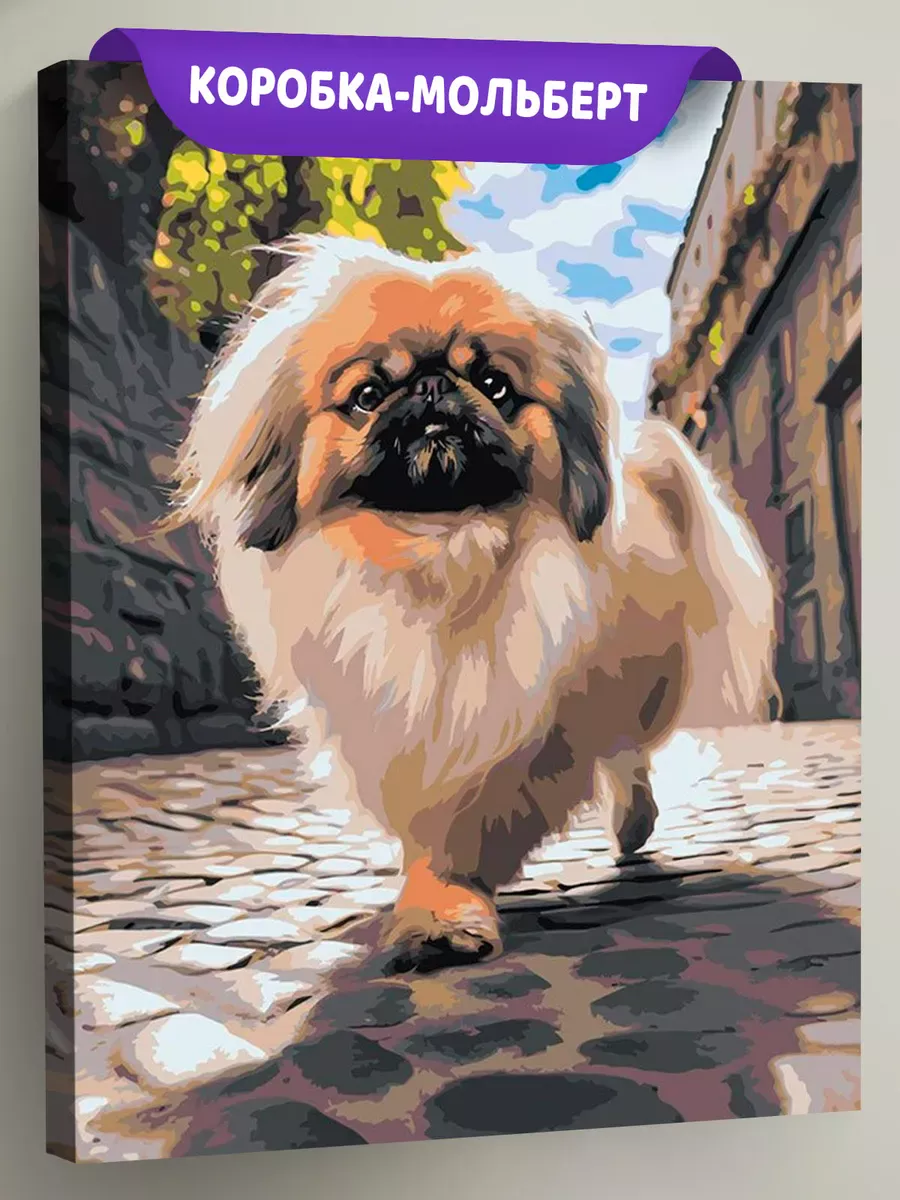 Картина по номерам «Собака Пекинес гуляет по городу 2»