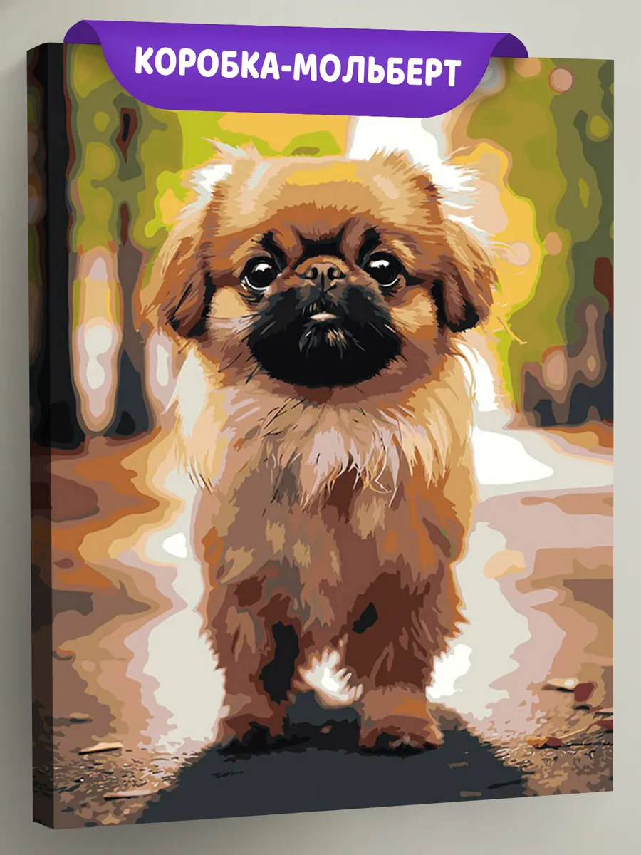 Картина по номерам «Собака Пекинес гуляет по городу 4»