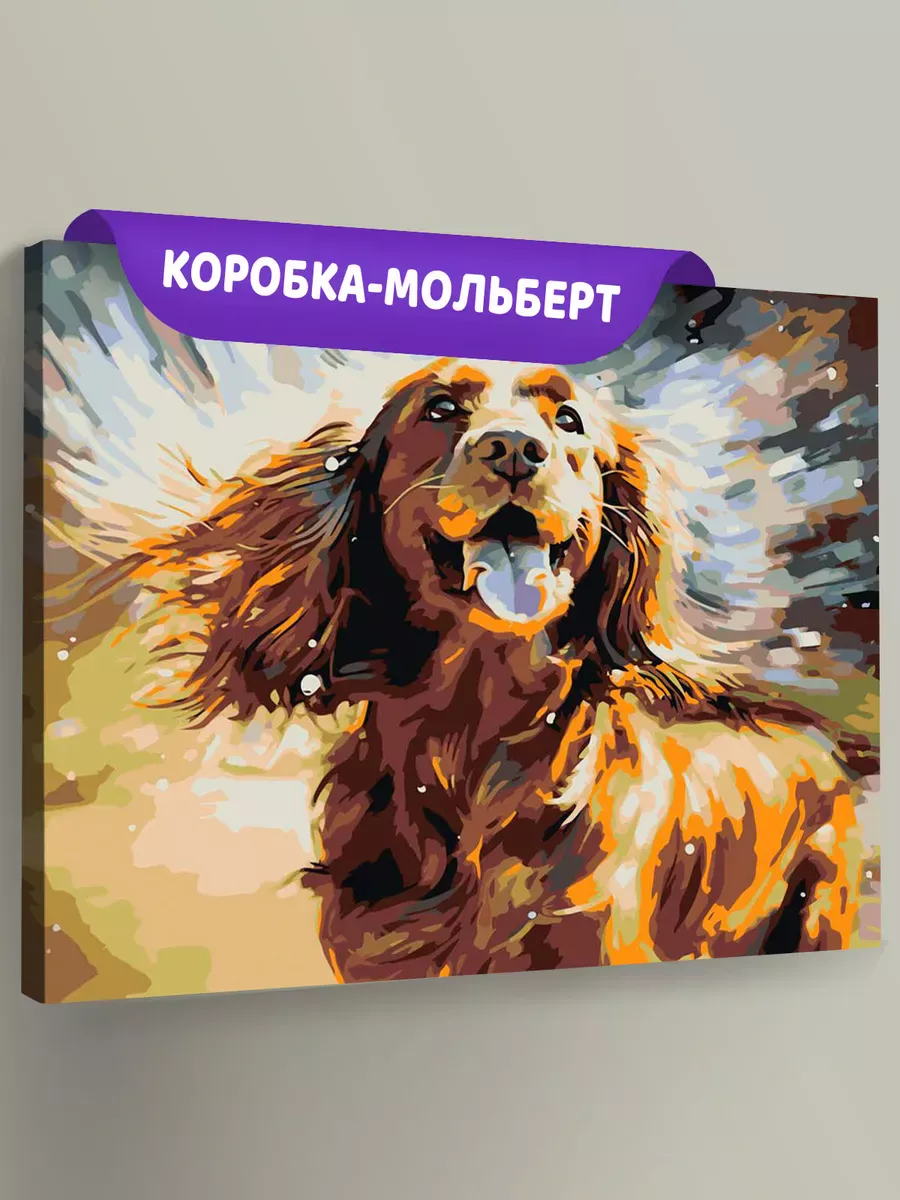 Картина по номерам «Собака Спаниель и брызги воды»