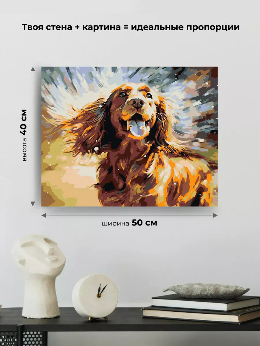 Картина по номерам «Собака Спаниель и брызги воды» — картинка 3