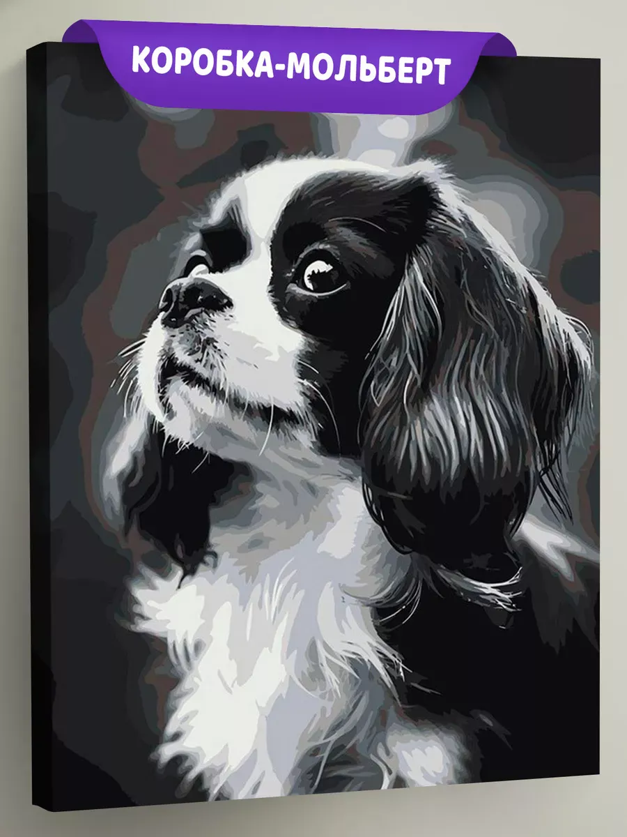 Картина по номерам «Собака Спаниель черная с белым щенок»
