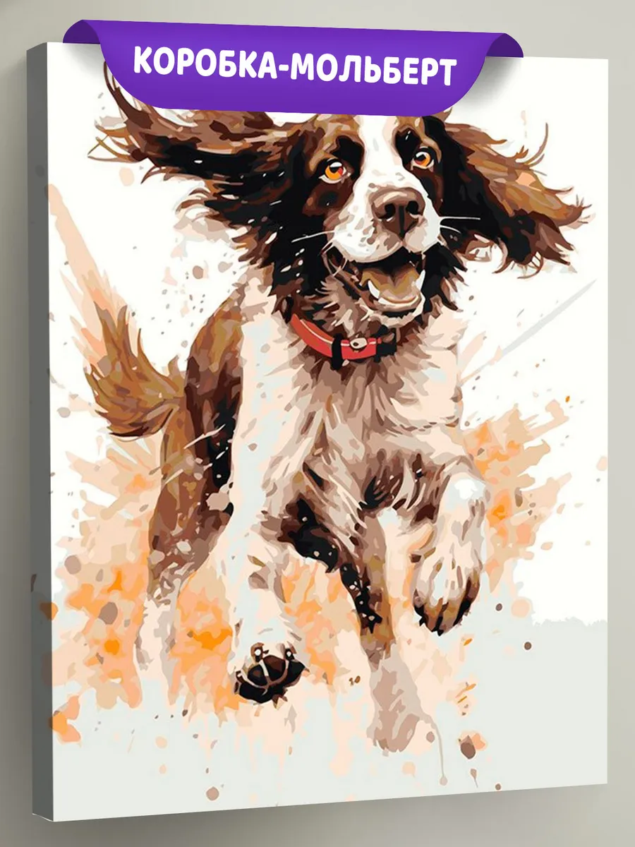 Картина по номерам «Собака Спаниель в прыжке»