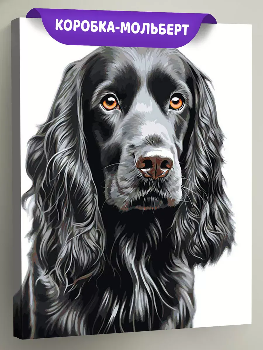 Картина по номерам «Собака Спаниель черная 2» Картина по номерам «Собака Спаниель черная 2»