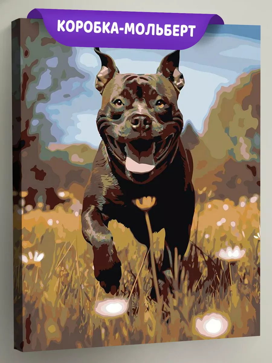 Картина по номерам «Собака Стаффорд (Стаффордширский терьер) 2»