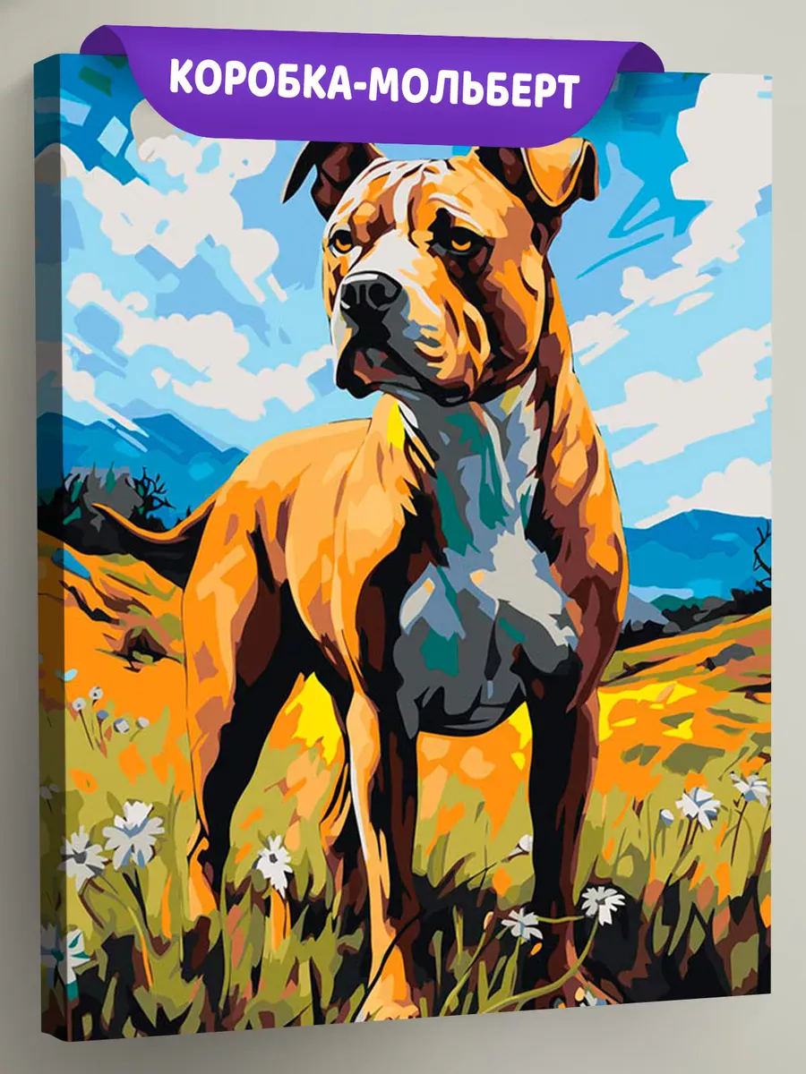 Картина по номерам «Собака Стаффорд (Стаффордширский терьер) 4»