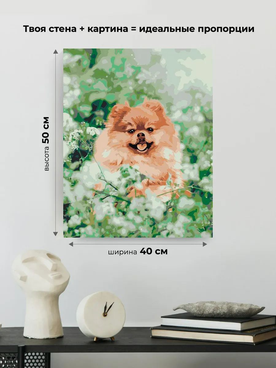 Картина по номерам «Собаки: Шпиц в зелени и цветах 40х50» — картинка 3