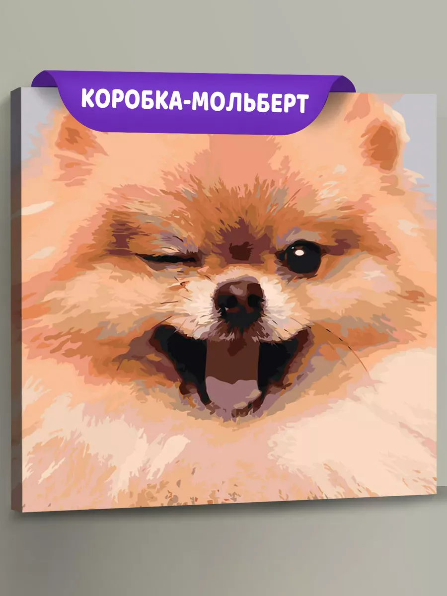 Картина по номерам «Собаки: Шпиц милый щенок 40х40»