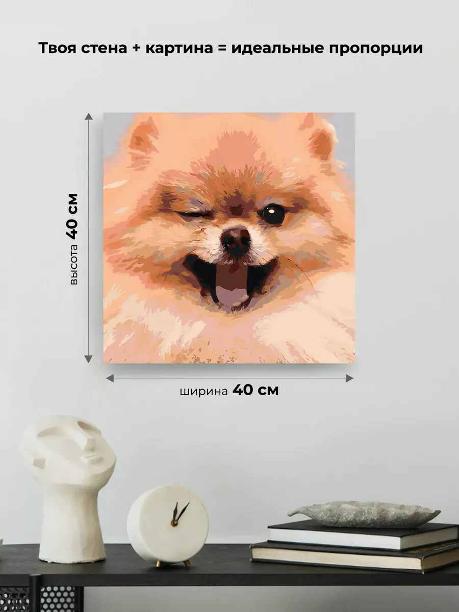 Картина по номерам «Собаки: Шпиц милый щенок 40х40» — картинка 3