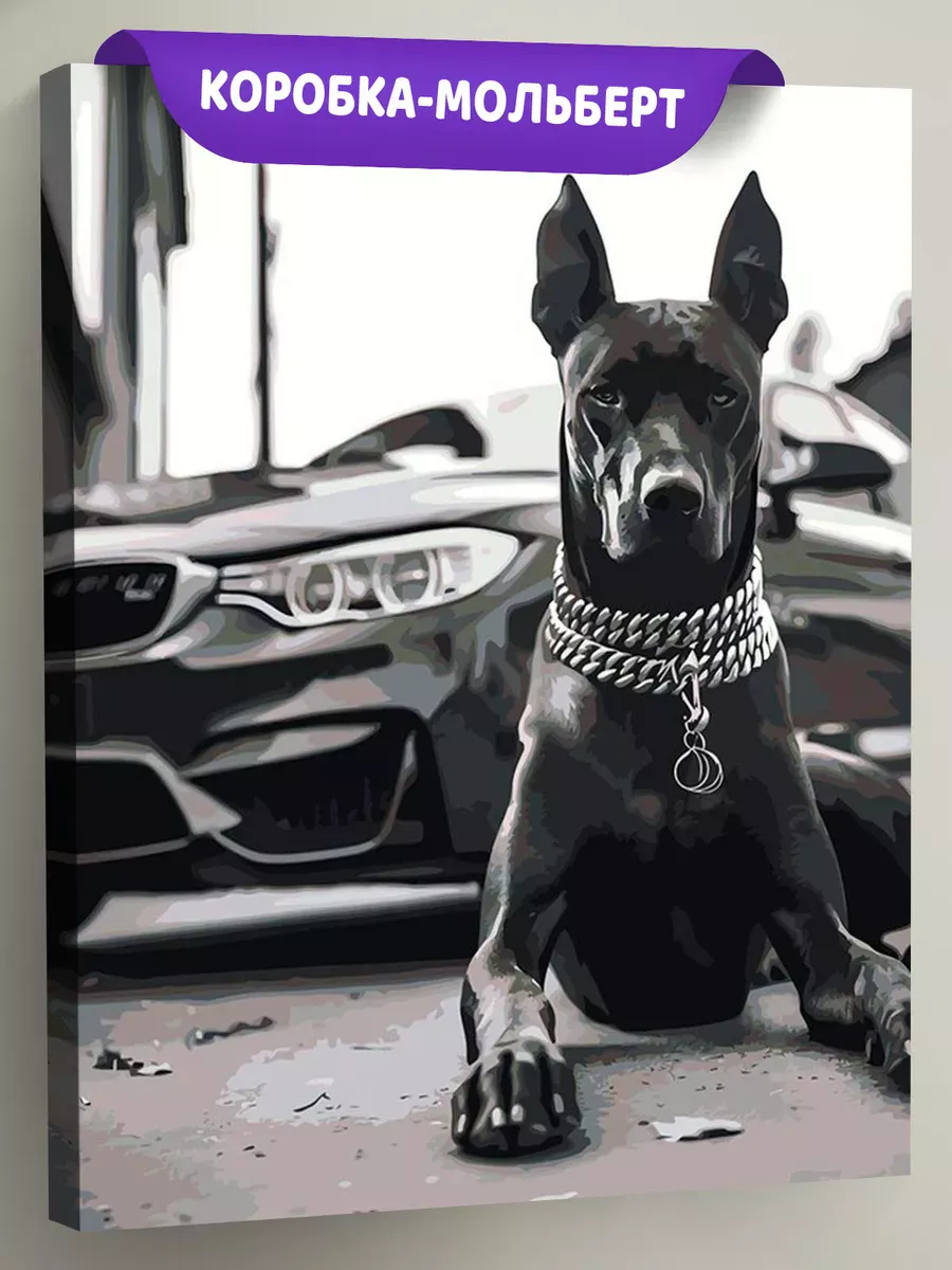 Картина по номерам «Машина BMW и собака доберман чернобелая»
