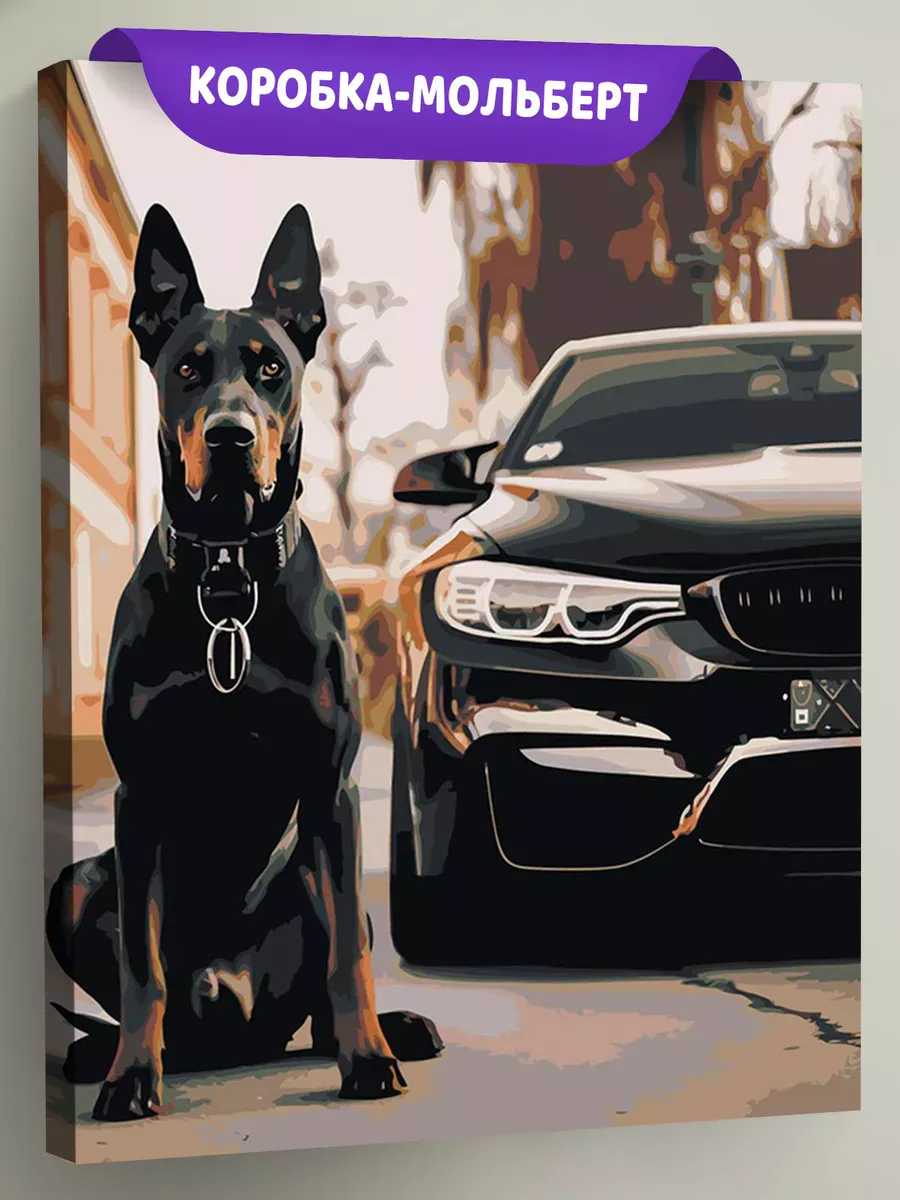 Картина по номерам «Машина BMW и собака доберман 40х50»