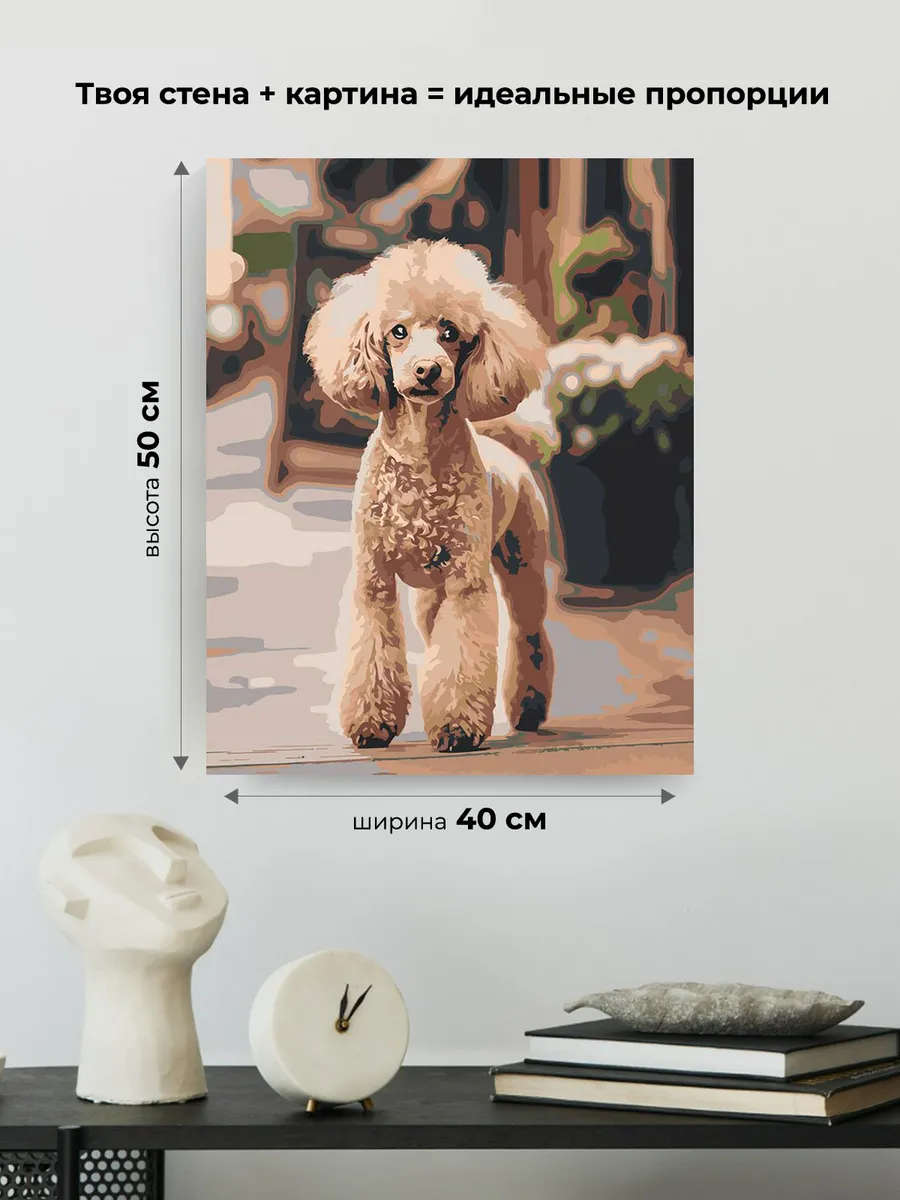 Картина по номерам «Собака пудель на улице 40х50» — картинка 3