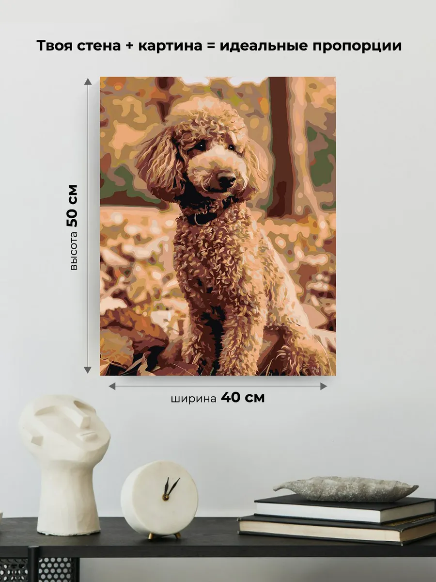 Картина по номерам «Собака пудель в лесу, осень 40х50» — картинка 3