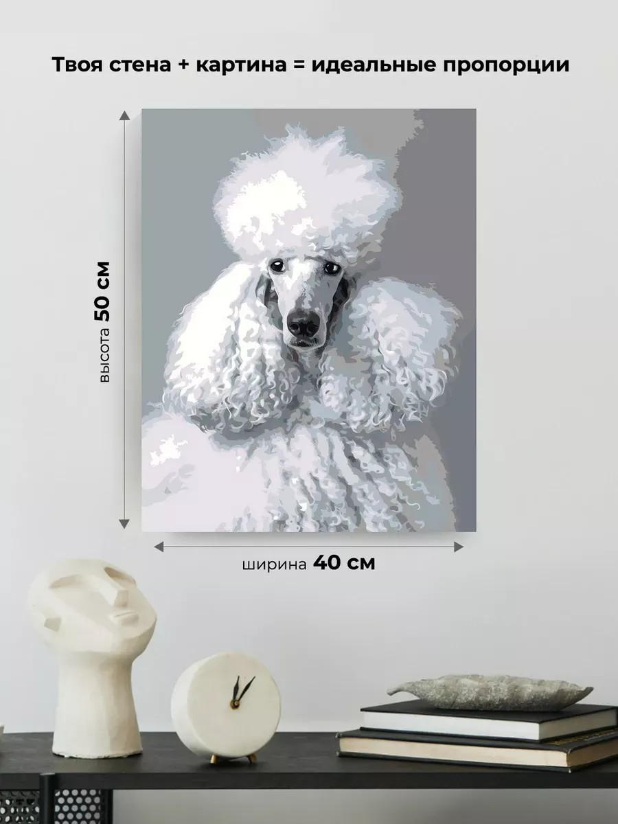 Картина по номерам «Собака пудель белая 40х50» — картинка 3