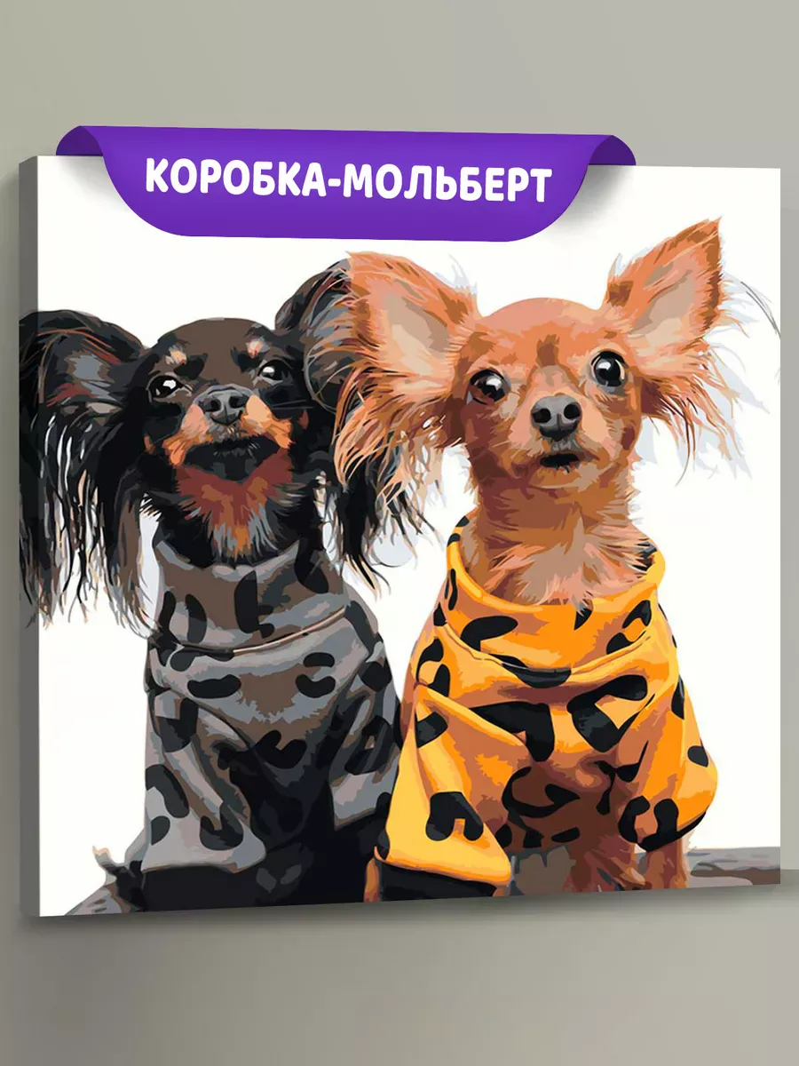 Картина по номерам «Собаки: длинношерстные Той терьеры 40x40»