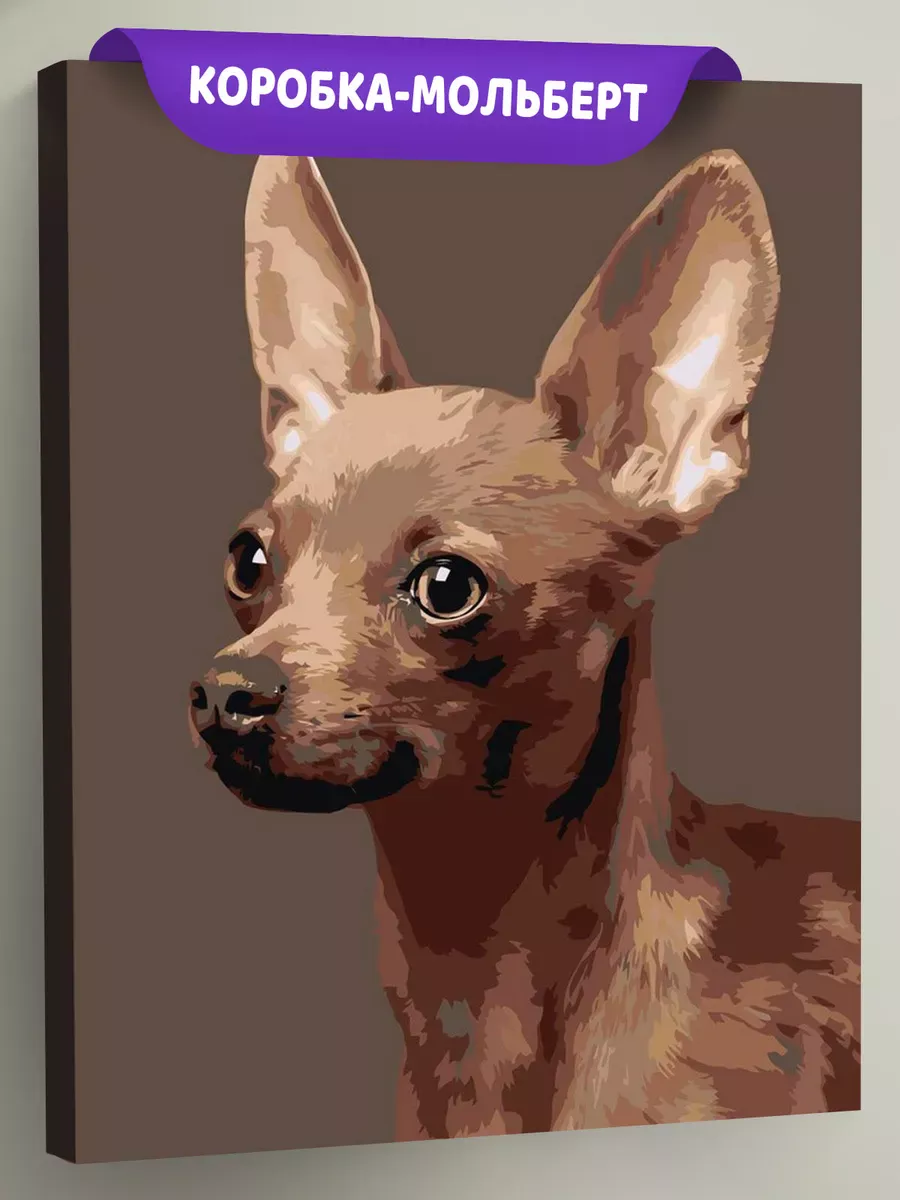 Картина по номерам «Собаки: Той терьер 40x50»