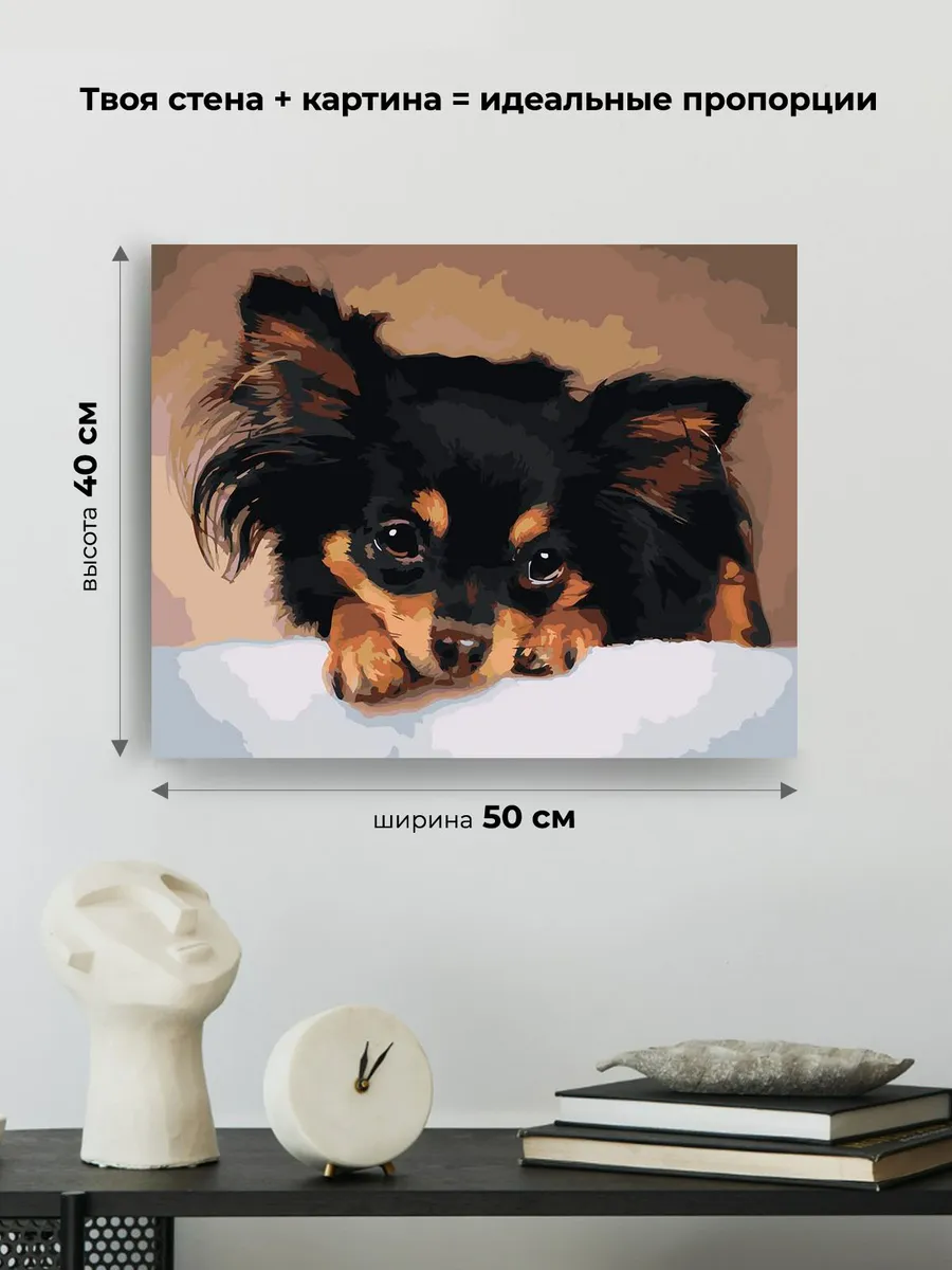 Картина по номерам «Собаки: длинношерстный Той терьер 40x50» — картинка 3