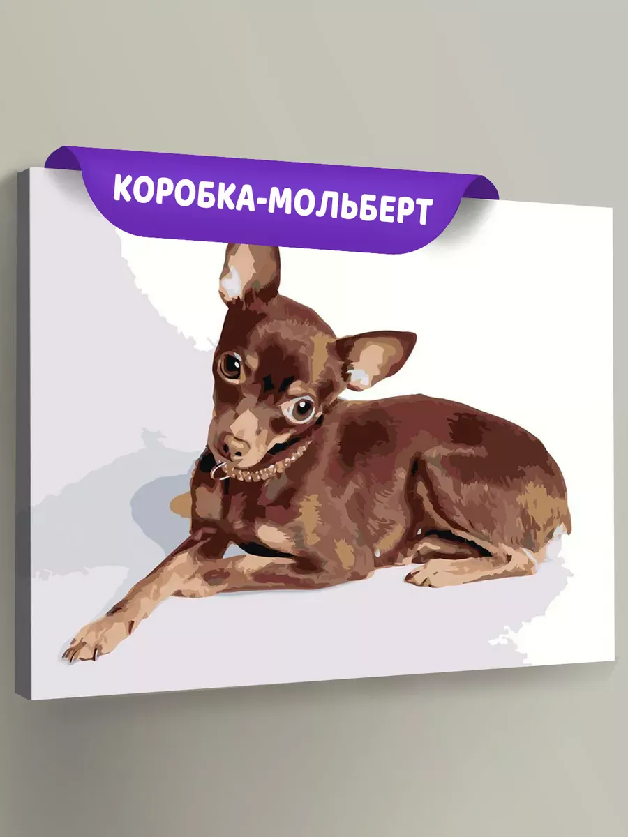 Картина по номерам «Собаки: Той терьер 40x50»