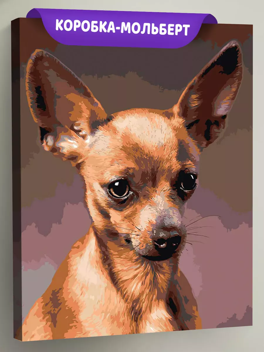 Картина по номерам «Собаки: Той терьер 40x50»