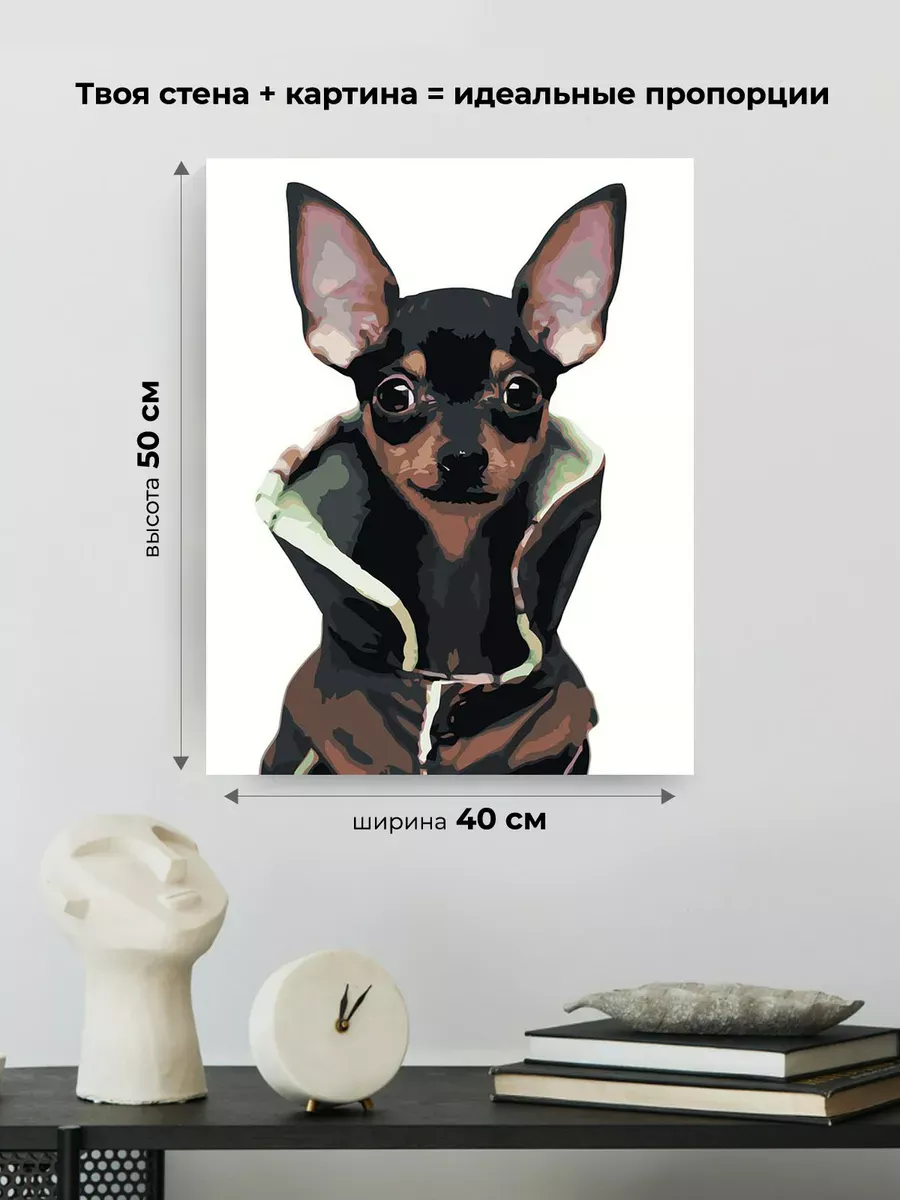 Картина по номерам «Собаки: Той терьер в куртке 40x50» — картинка 3