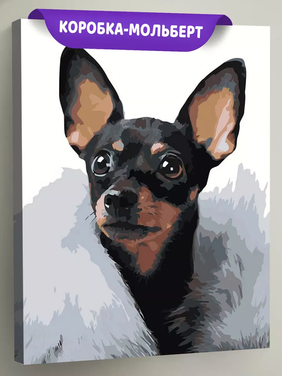 Картина по номерам «Собаки: Той терьер в пледе 40x50»