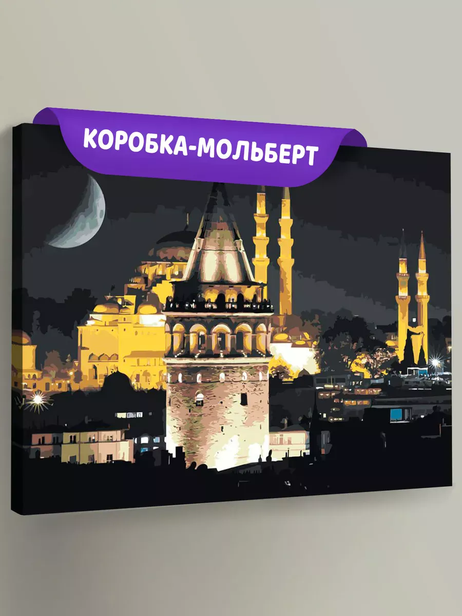 Картина по номерам «Стамбул, Турция: Галатская башня и мечеть»