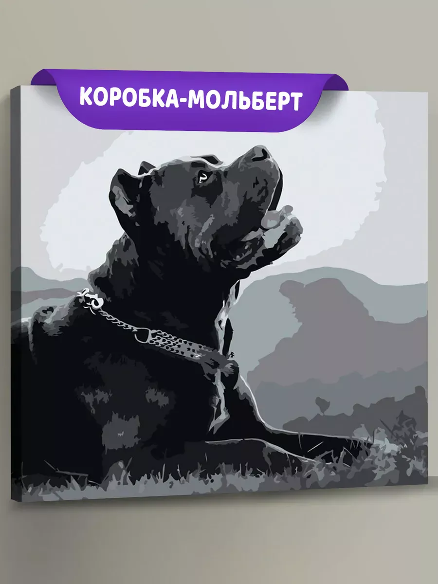 Картина по номерам «Собака Кане корсо чернобелая чб 40x40»