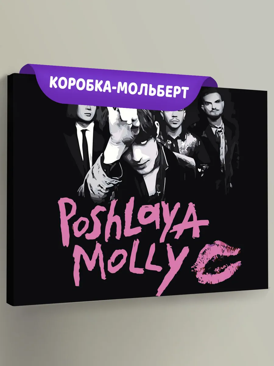 Картина по номерам «Группа Пошлая Молли: монохром арт 40x50»
