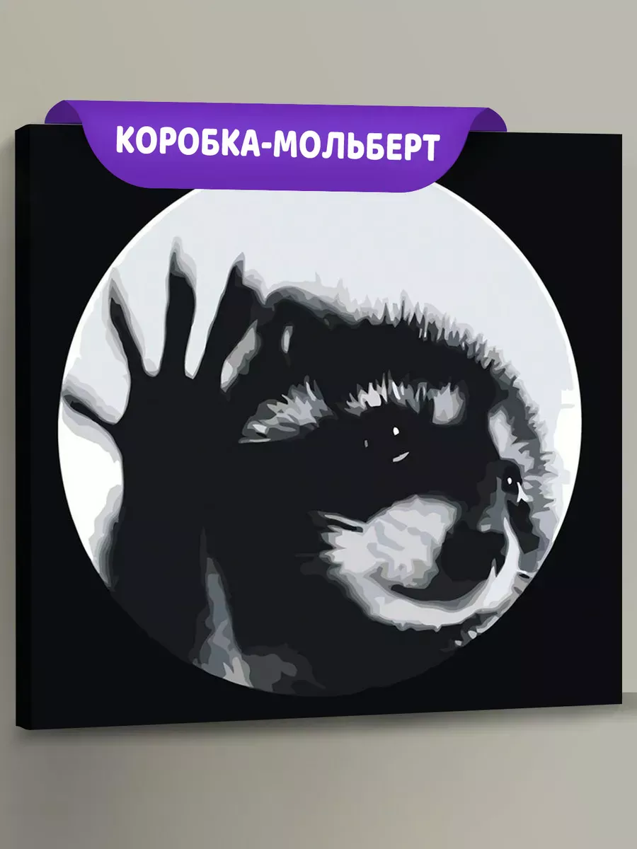 Картина по номерам «Мемы: Енот танцует Педро, чб 40х40»