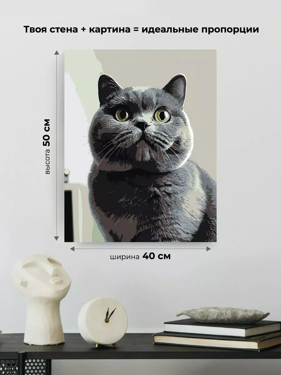 Картина по номерам «Кошки: серый британец, британский кот» — картинка 3