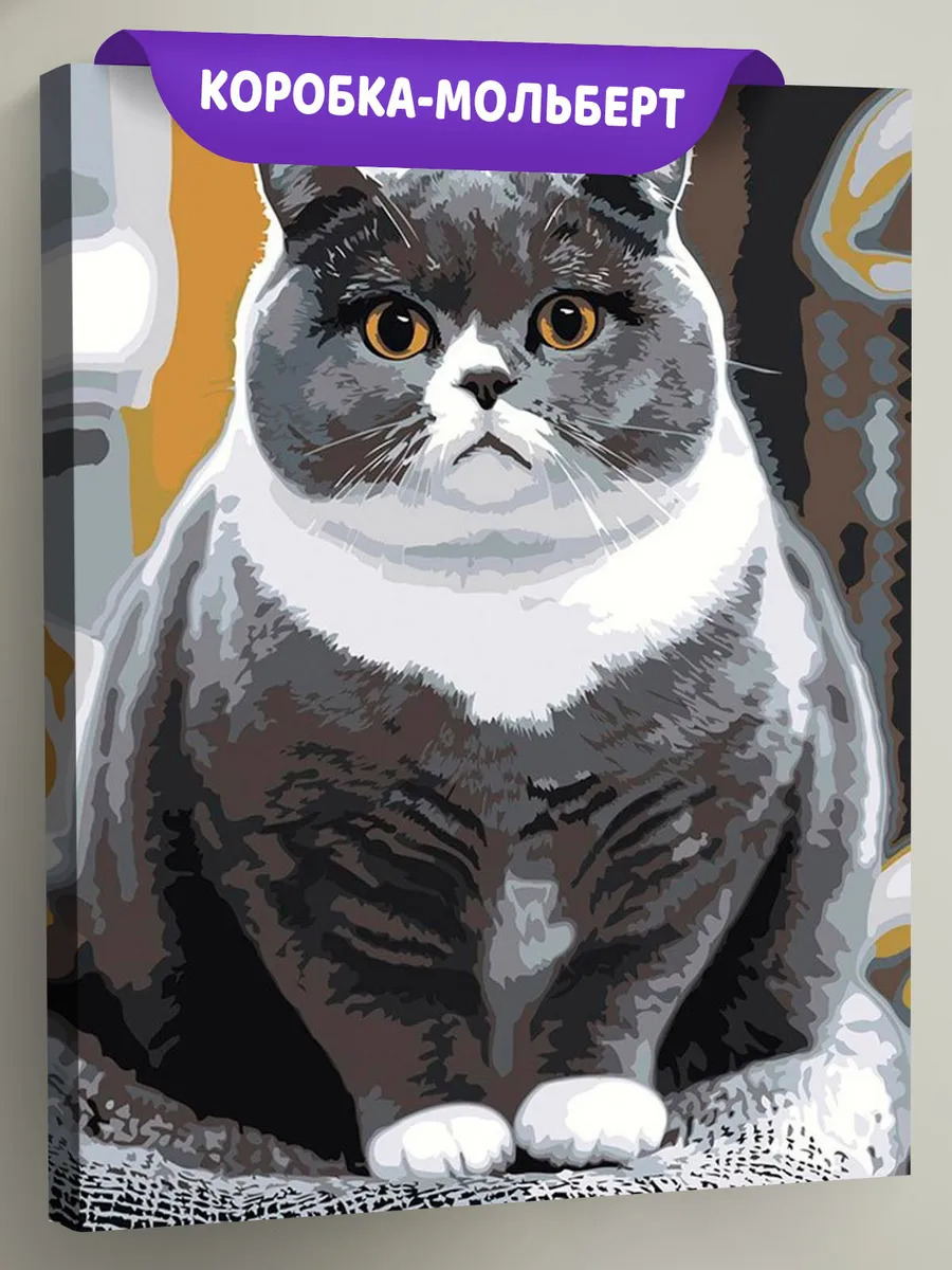 Картина по номерам «Кошки: толстый британский кот 40x50»