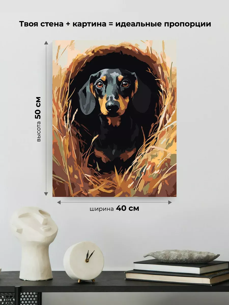 Картина по номерам «Собаки: такса в кроличьей норе 40х50» — картинка 3