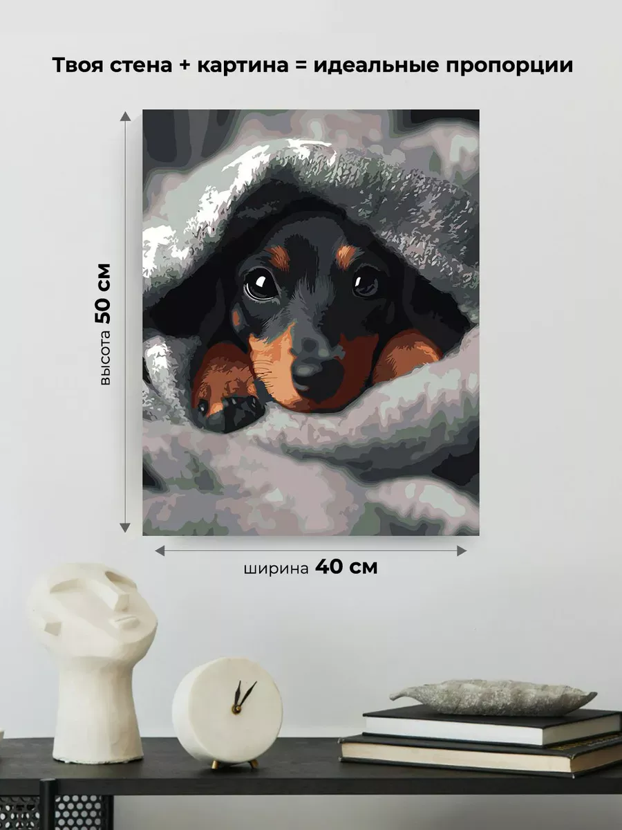 Картина по номерам «Собаки: щенок таксы под теплым пледом» — картинка 3