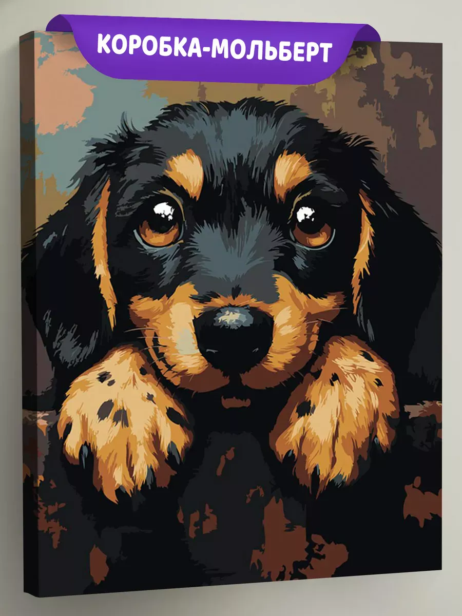 Картина по номерам «Собаки: милый щенок таксы 40х50»