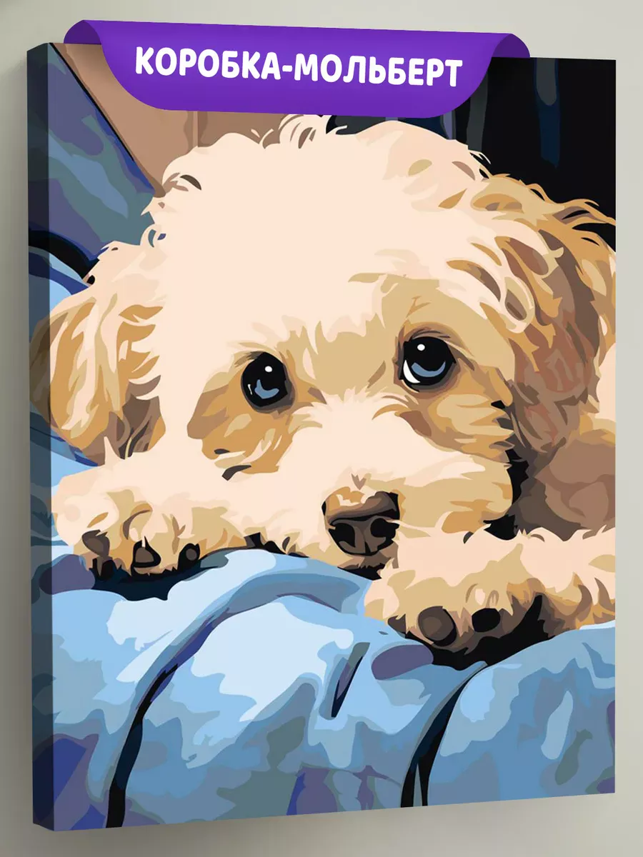 Картина по номерам «Собаки: бежевый щенок мальтипу на кровати»