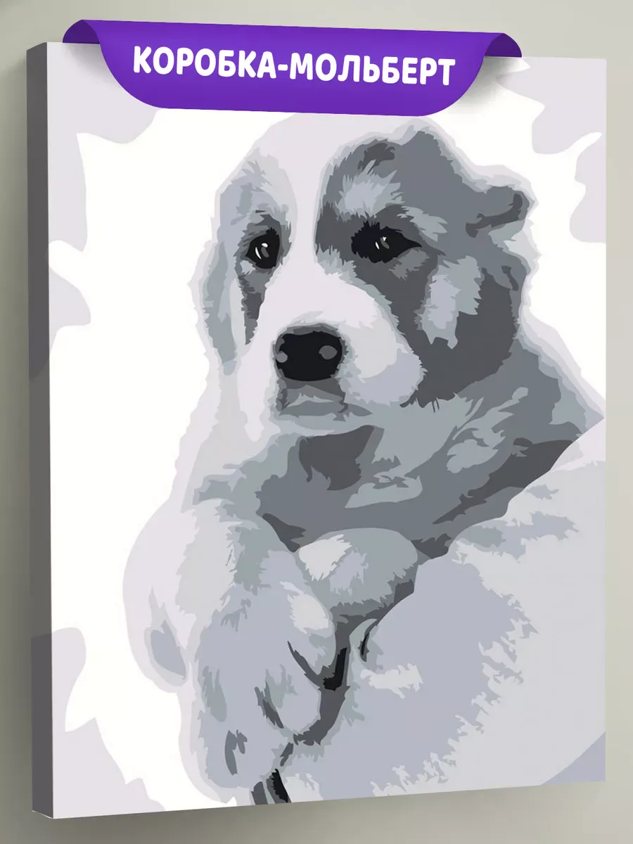 Картина по номерам «Собаки: алабай щенок, монохром чб»