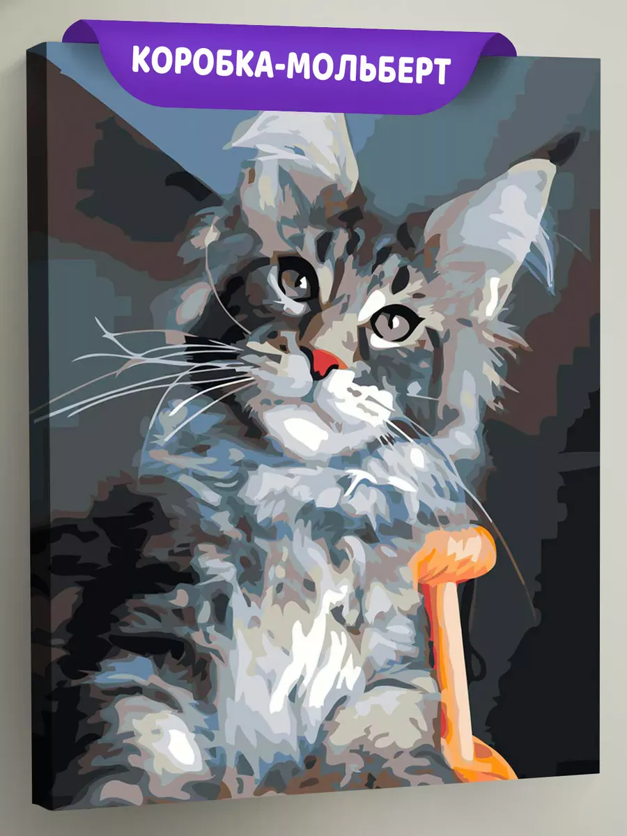 Картина по номерам «Коты и кошки: серый котик мейн-кун»