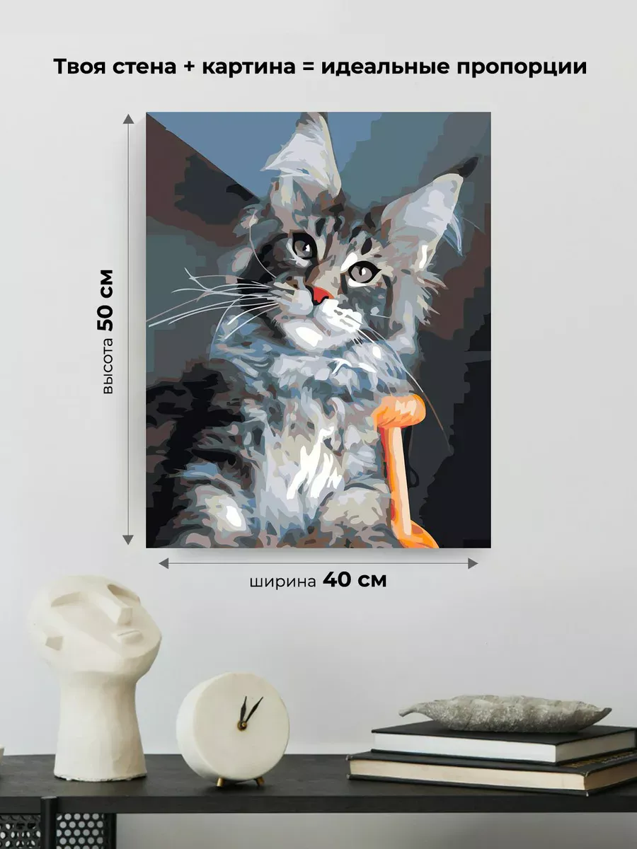 Картина по номерам «Коты и кошки: серый котик мейн-кун» — картинка 3