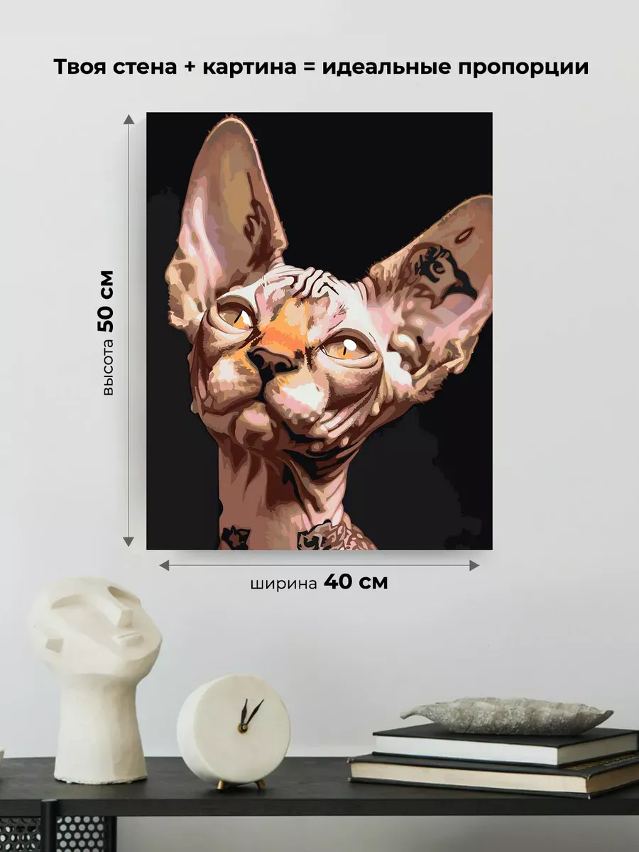 Картина по номерам «Коты и кошки: котик сфинкс с тату» — картинка 3