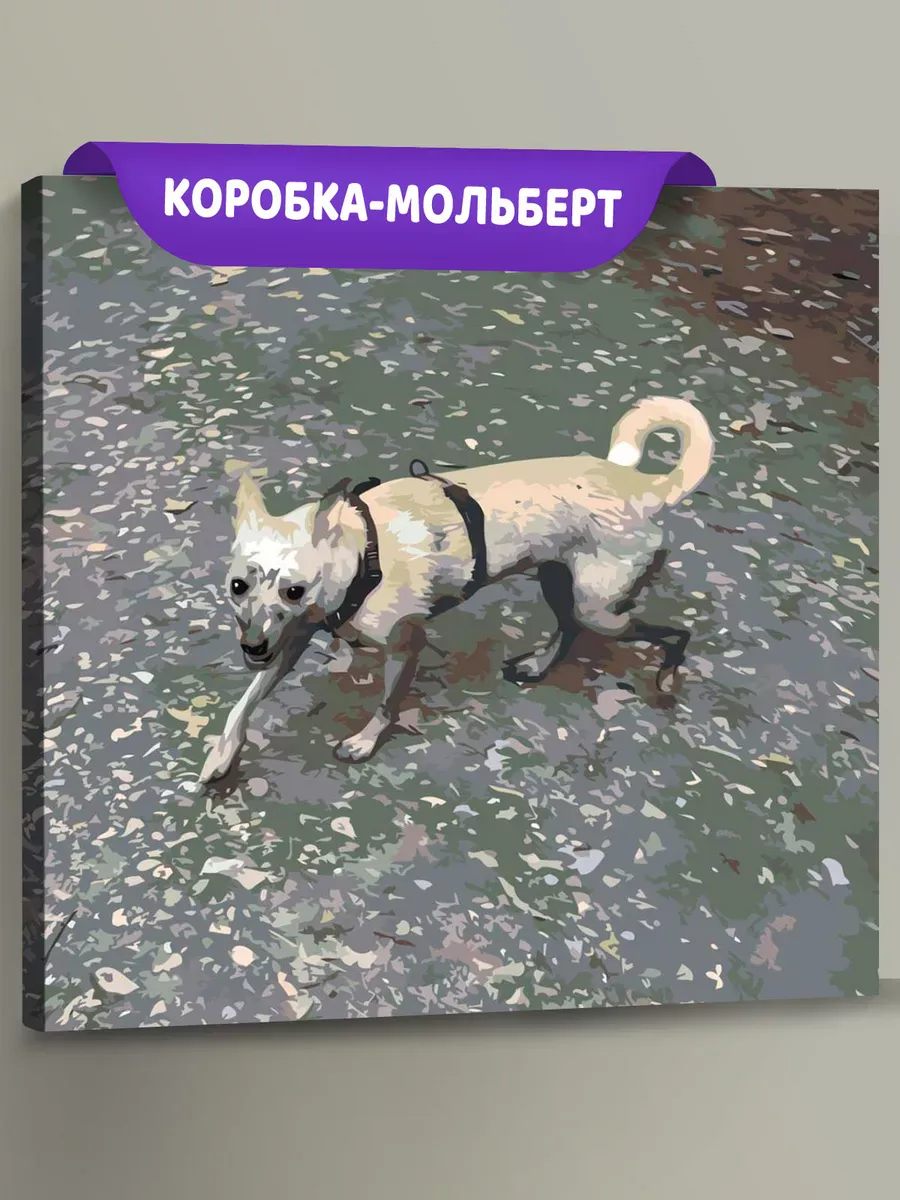 Картина по номерам «OG buda ОГ буда рэпер: Сабака обложка»