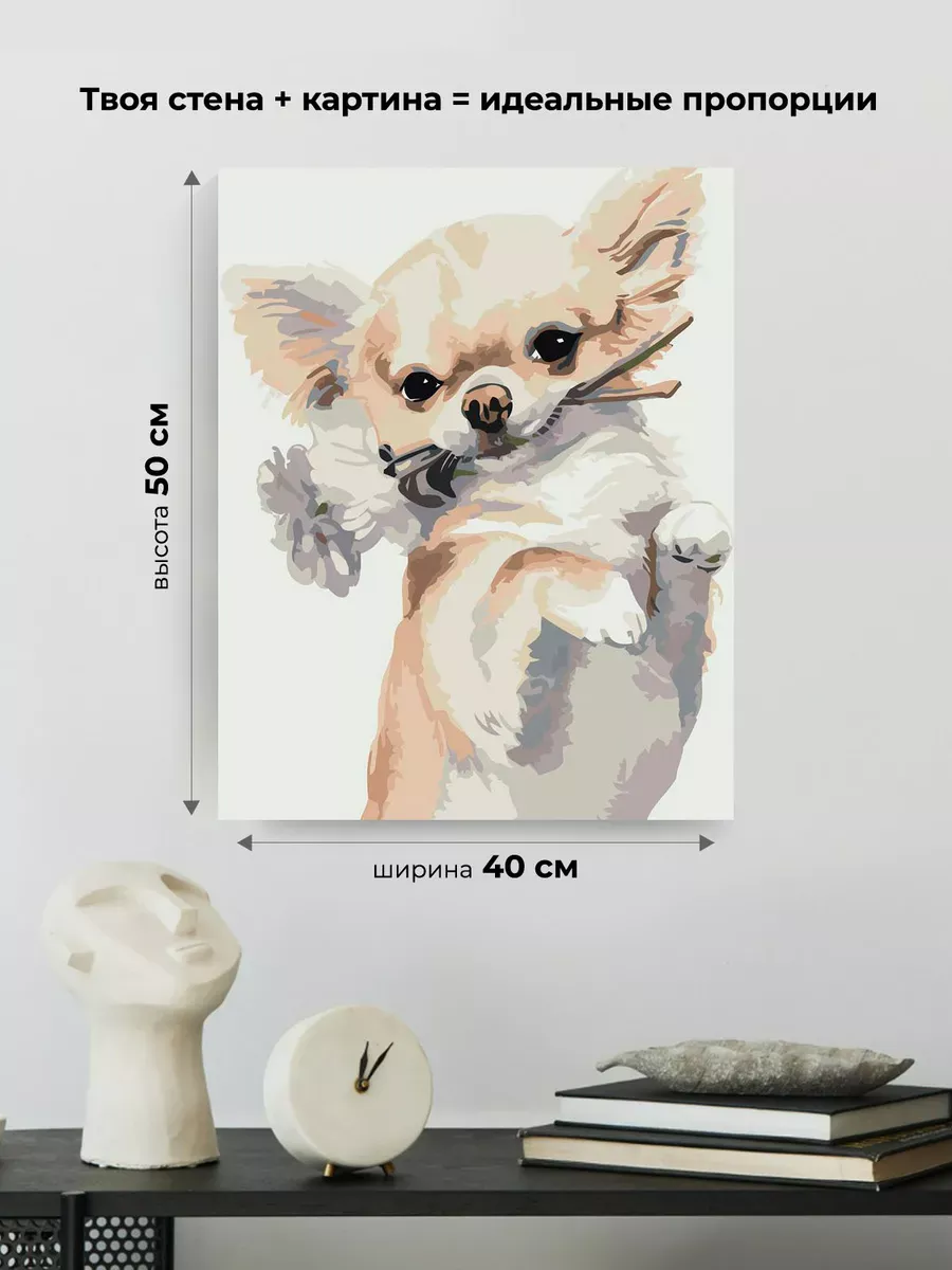 Картина по номерам «Собаки: смешная чихуахуа с цветами» — картинка 3