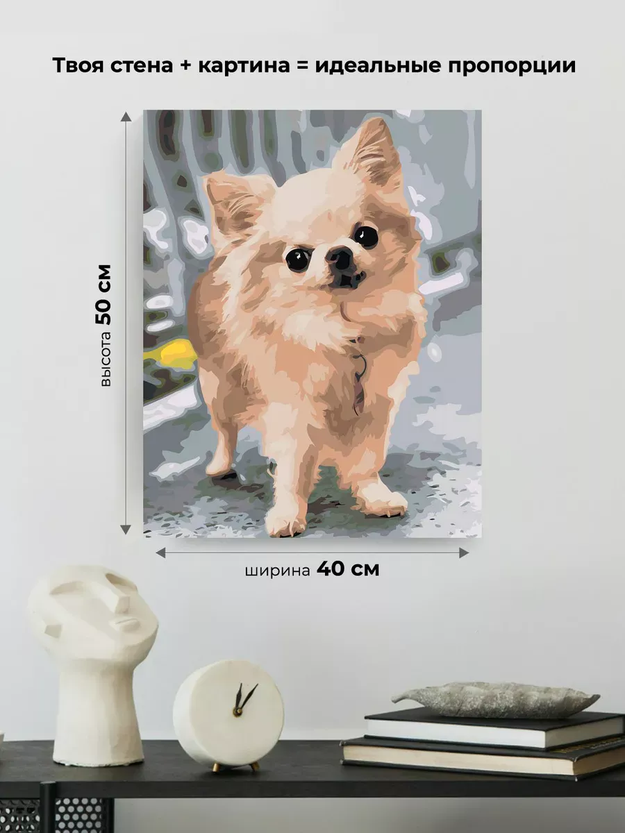Картина по номерам «Собаки: пушистая чихуахуа на улице» — картинка 3