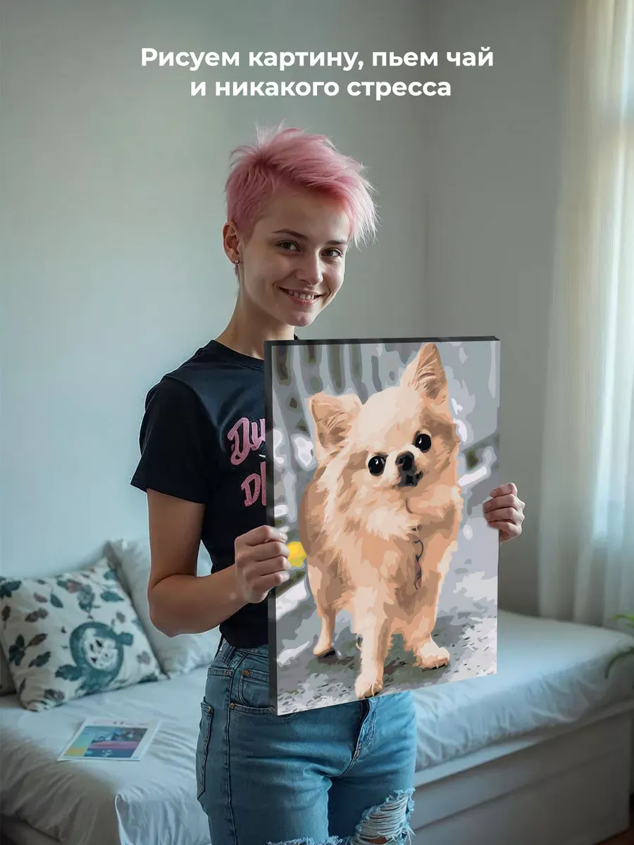 Картина по номерам «Собаки: пушистая чихуахуа на улице» — картинка 6