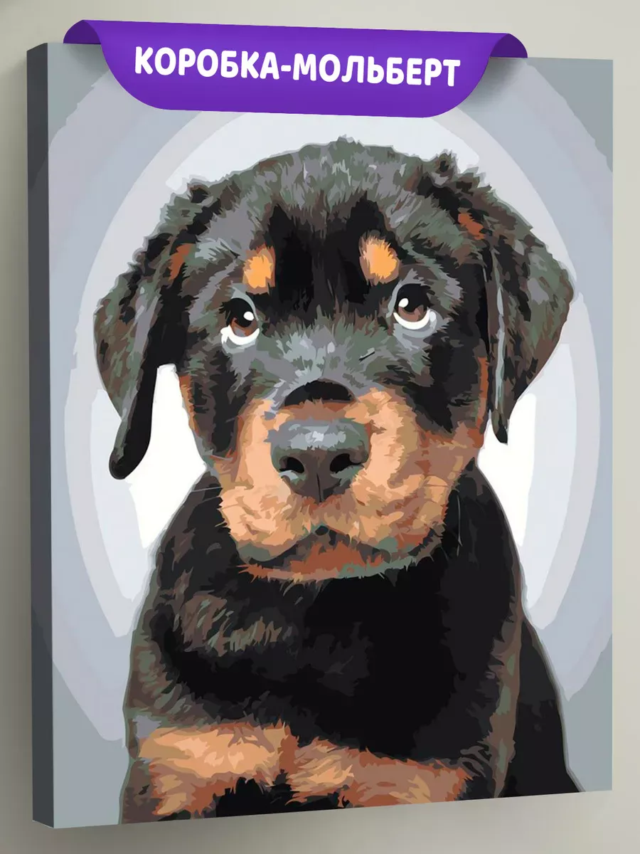 Картина по номерам «Собаки: милый щенок ротвейлер»