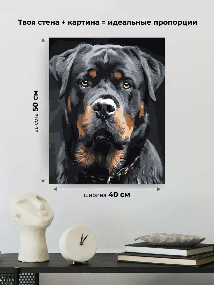 Картина по номерам «Собаки: ротвейлер, домашние животные» — картинка 3