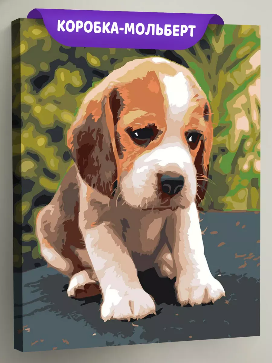 Картина по номерам «Собаки: пёс бигль, домашние животные»